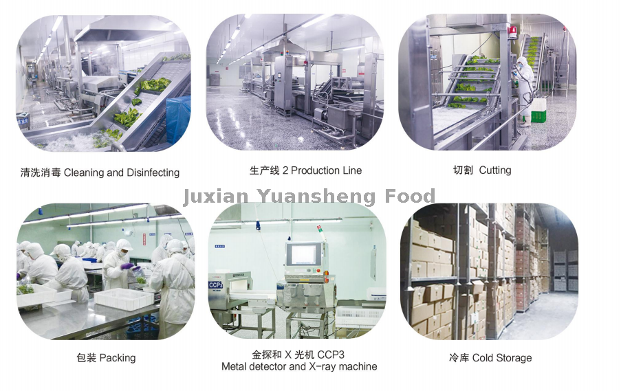 мастерская 2