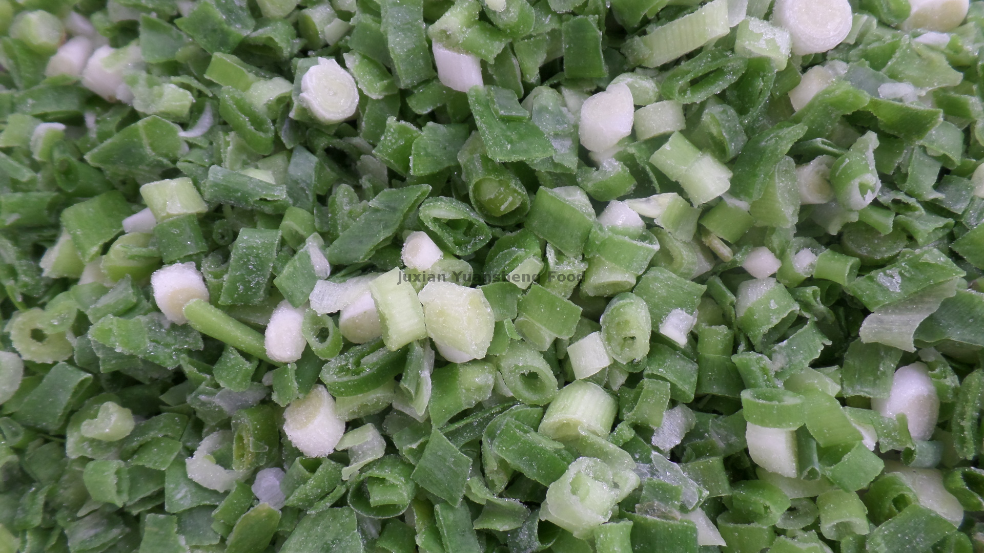 зеленый лук (5)