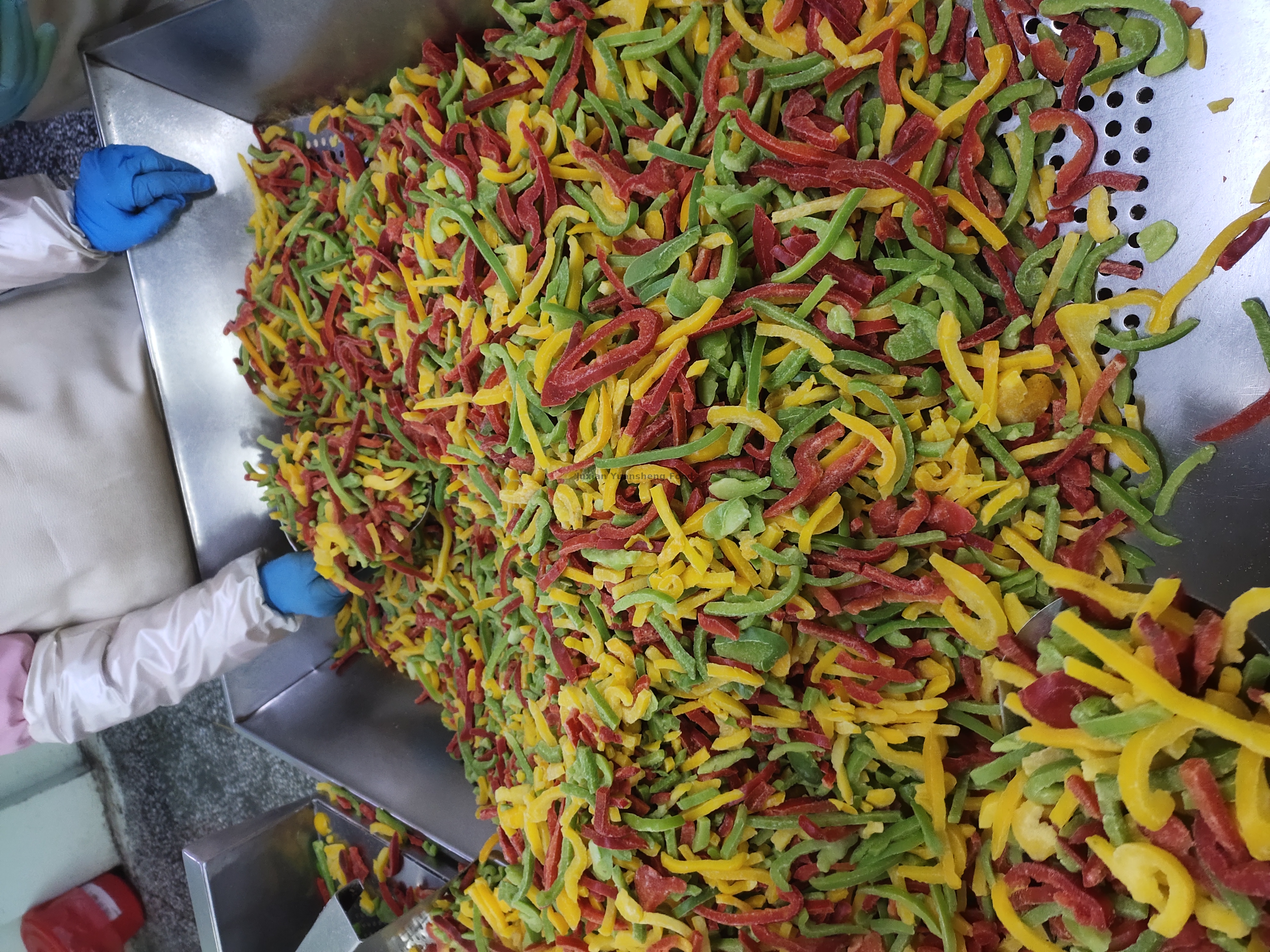 болгарский перец (18)