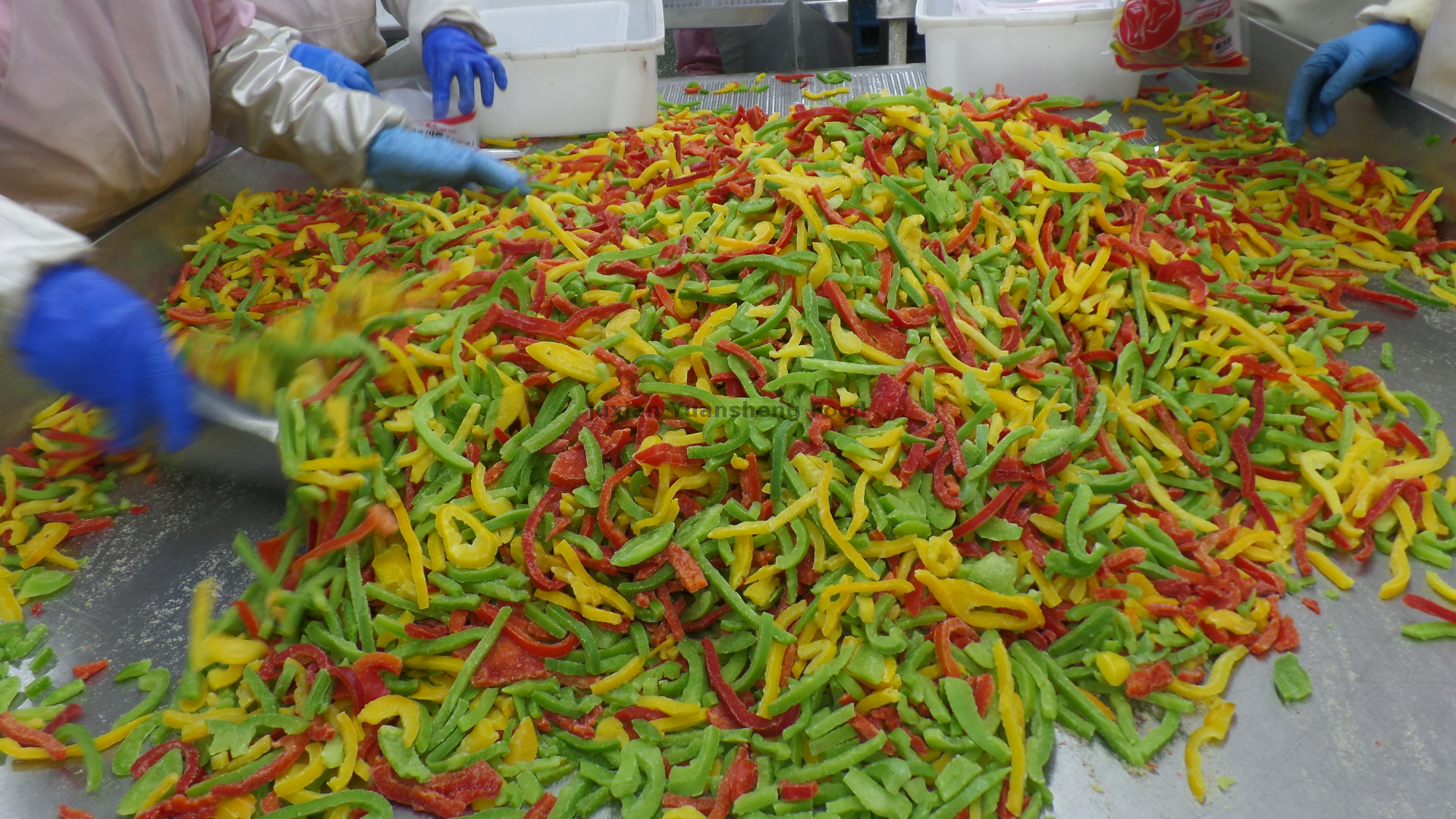 болгарский перец (5)