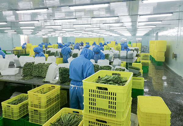 4_0000_粗加工-Грубая добыча