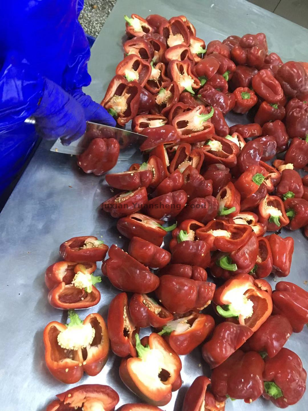 Массовые замороженные кубики красного болгарского перца 