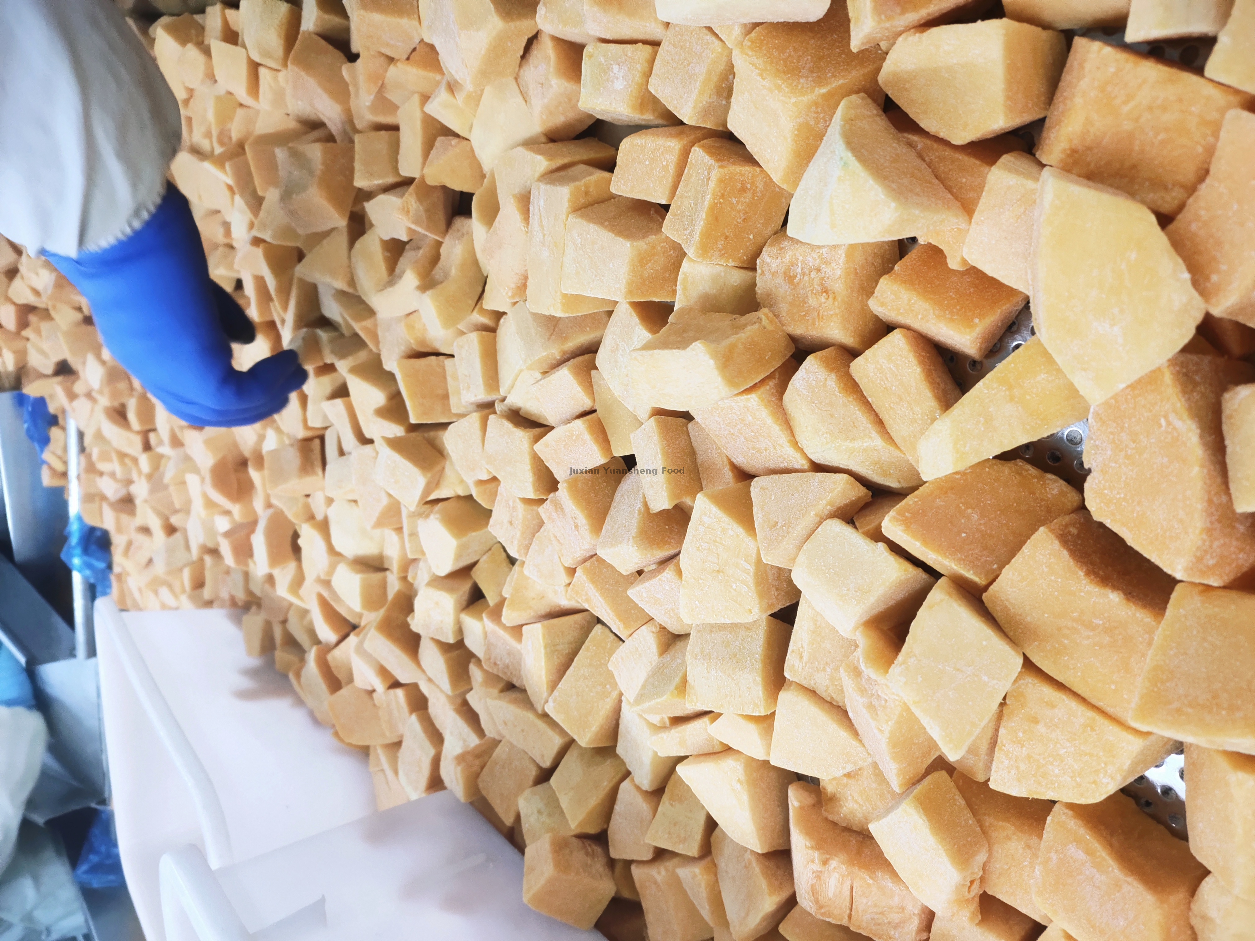 тыква 2 (3) - 副本