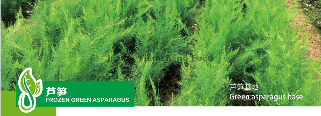 спаржевая основа