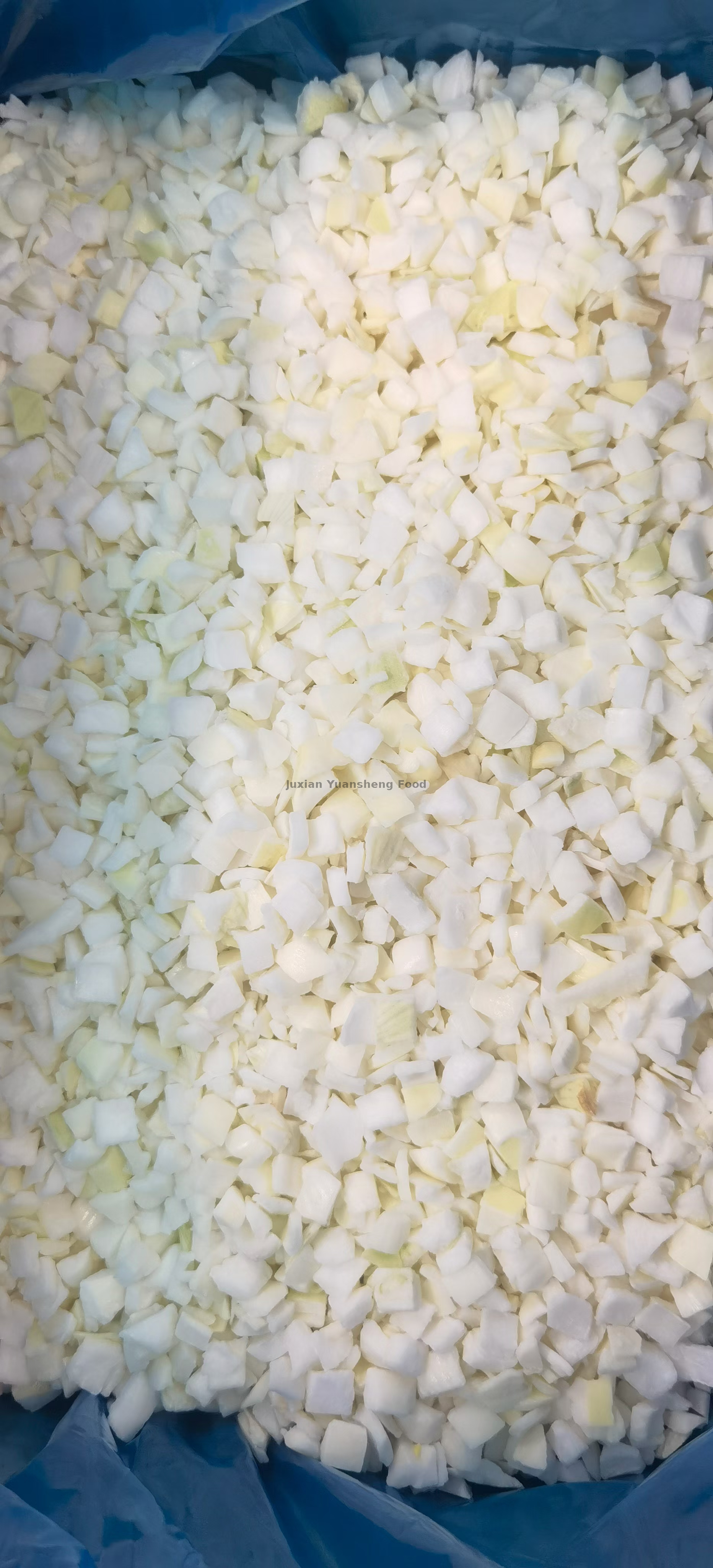 кубики лука (2)