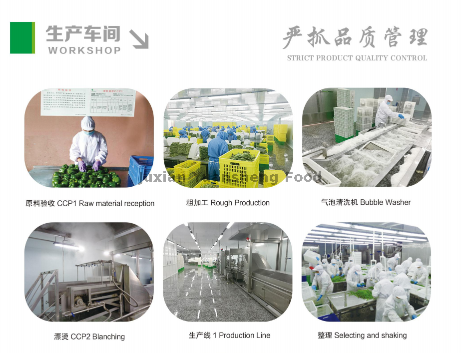 мастерская 1