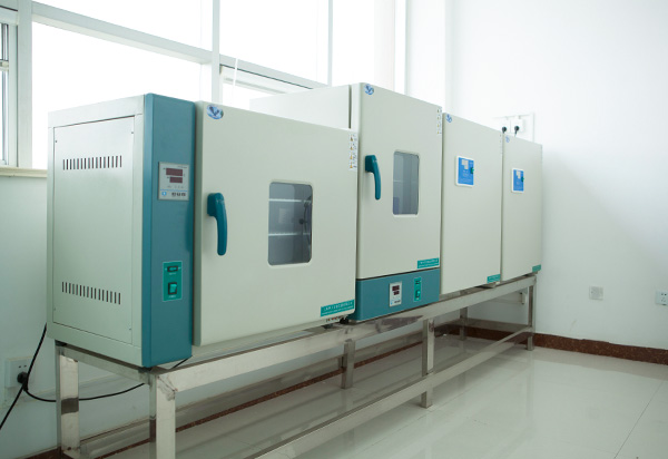 4_0005_细菌培养-бактериальная культура